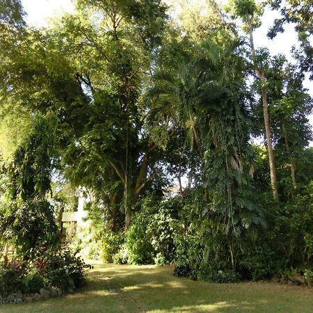 บาไลย์ ตูโก การ์เด้น อินน์ Puerto Princesa ภายนอก รูปภาพ