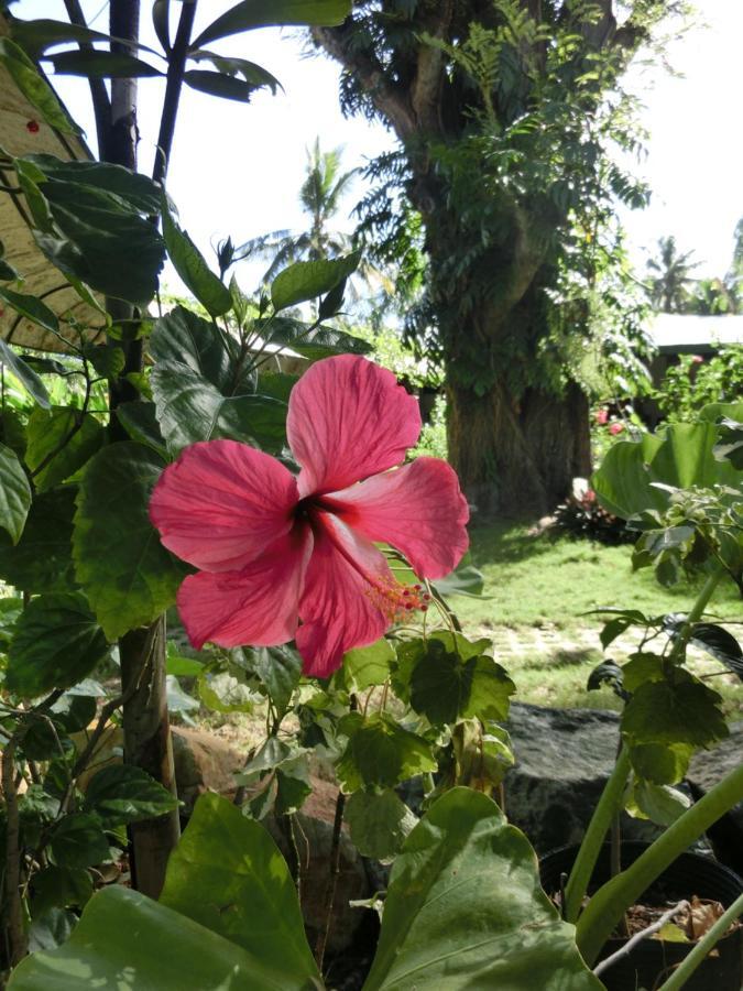 บาไลย์ ตูโก การ์เด้น อินน์ Puerto Princesa ภายนอก รูปภาพ